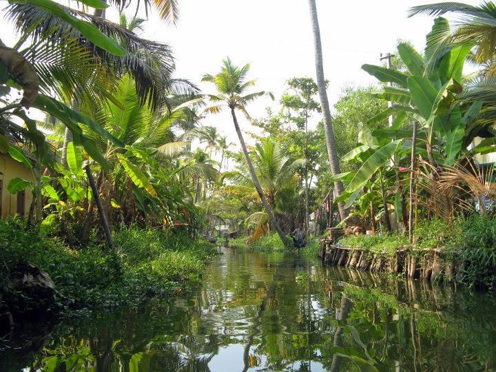 Alapatt Homestay Alappuzha Kültér fotó